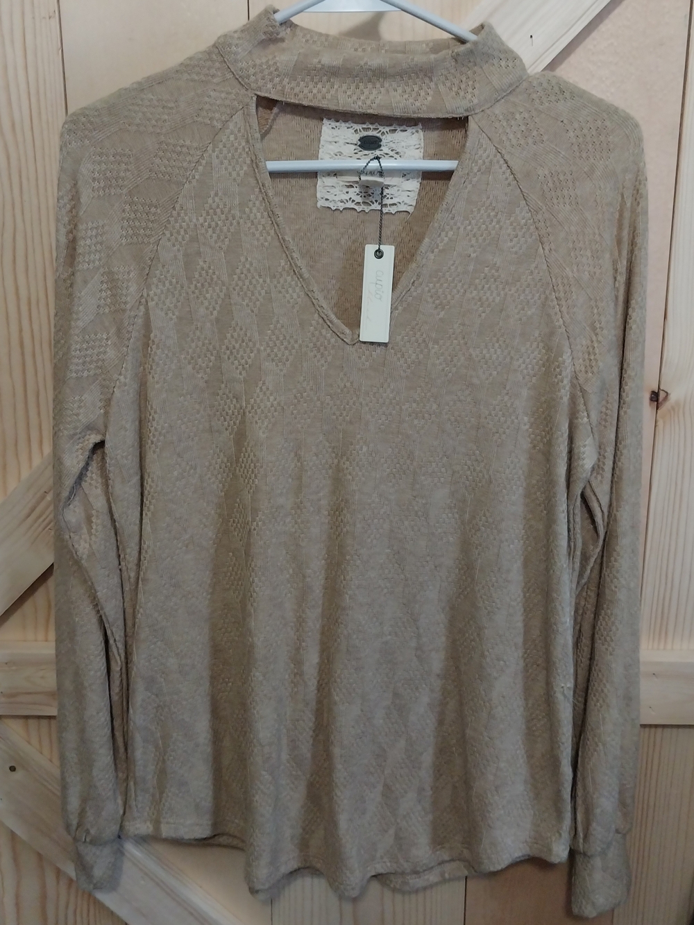 Cupio Beige Textured V-Neck Knit Top